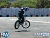 wof_146